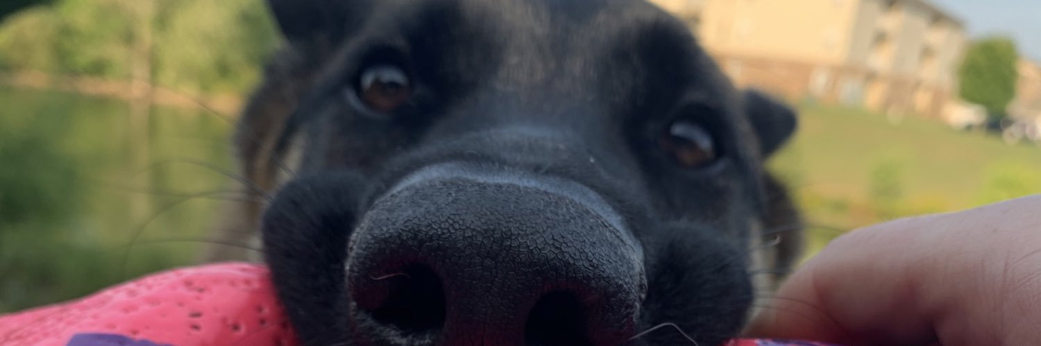 scumbagjoe's profile banner image