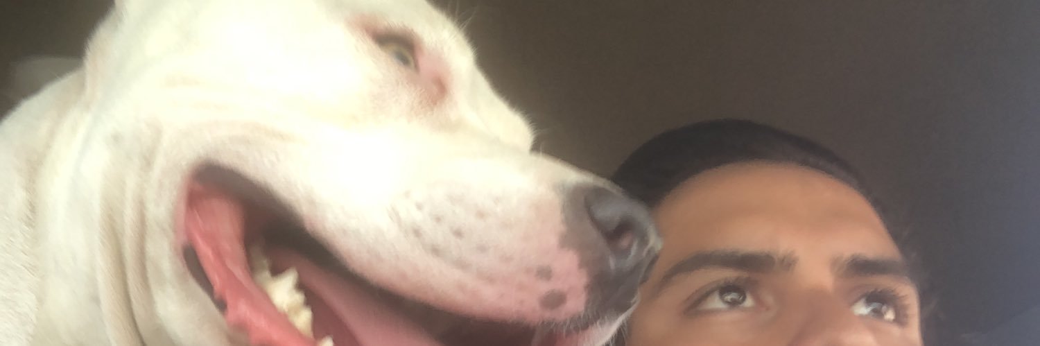 brandonmurilloc's profile banner image