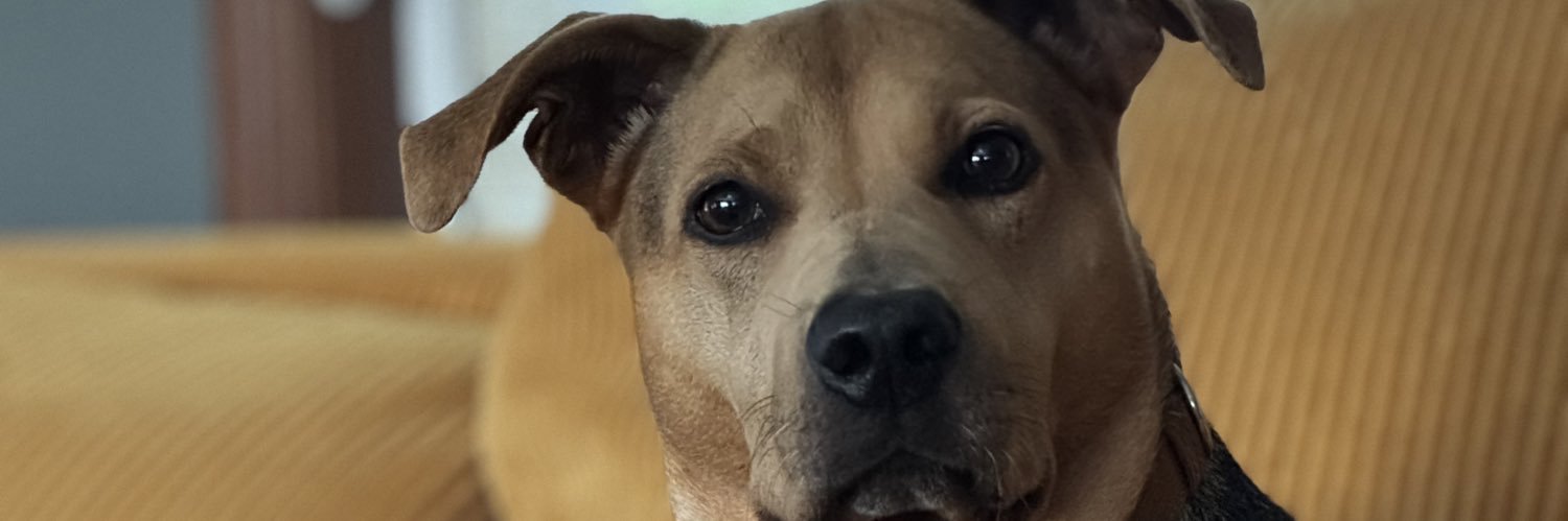 rizzy_23's profile banner image