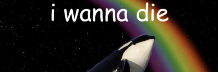 beermeforalways's profile banner image