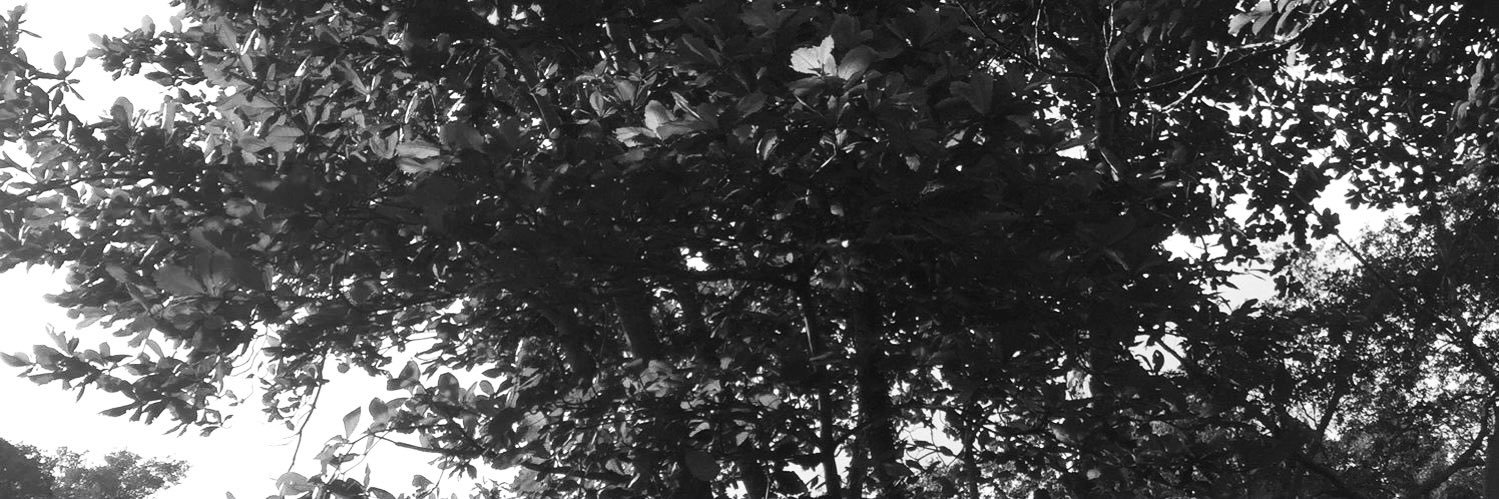 itzjaynine's profile banner image