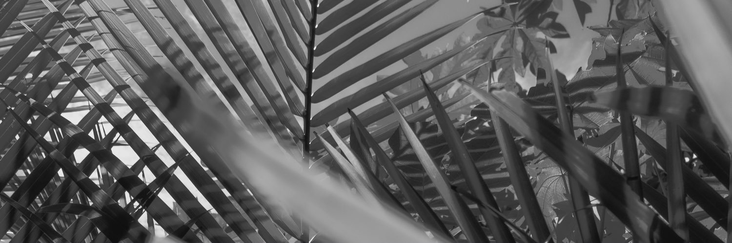 TAJII670s's profile banner image
