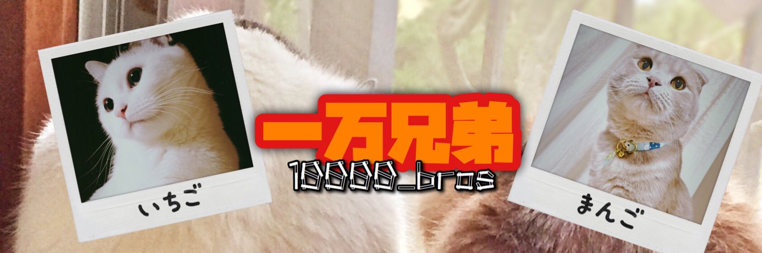 10000_bros's profile banner image