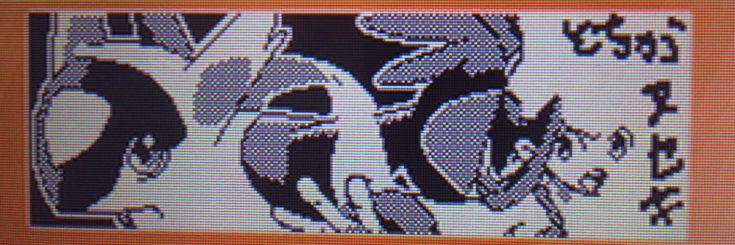 nuseki's profile banner image