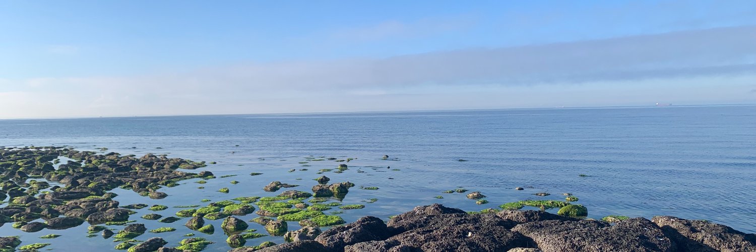 Dr Amy Loughman banner