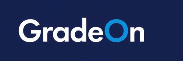 ProfessorHeidi Profile Banner