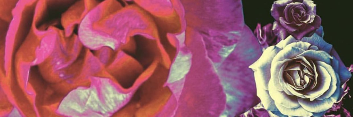NiyoushaB's profile banner image