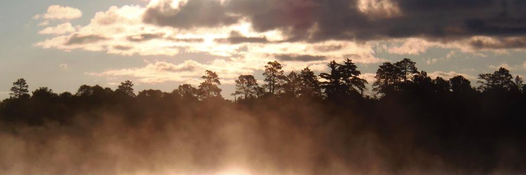 KateFetrow's profile banner image