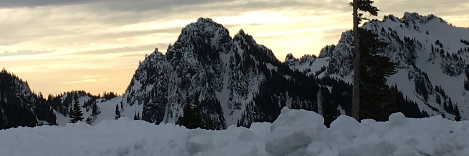 Mandee429's profile banner image
