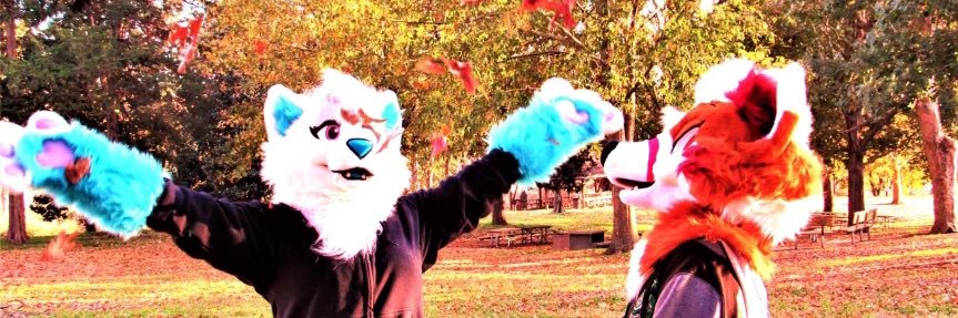 SamediSaber's profile banner image