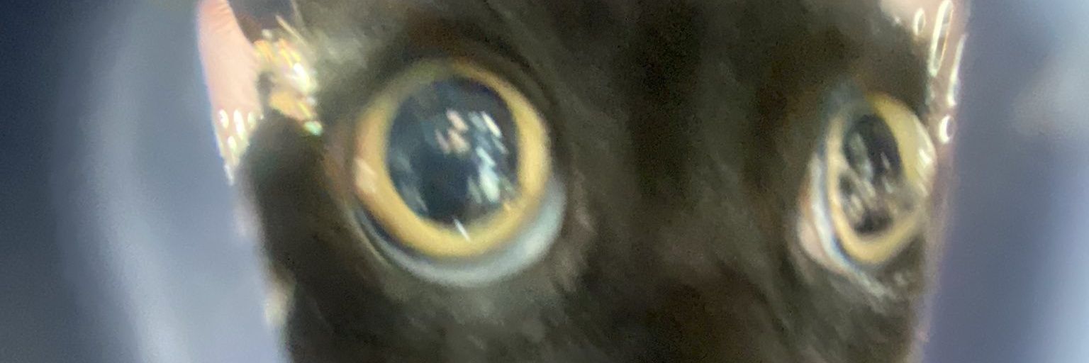Talkingturtle01's profile banner image