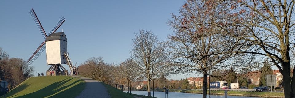 Sulio banner