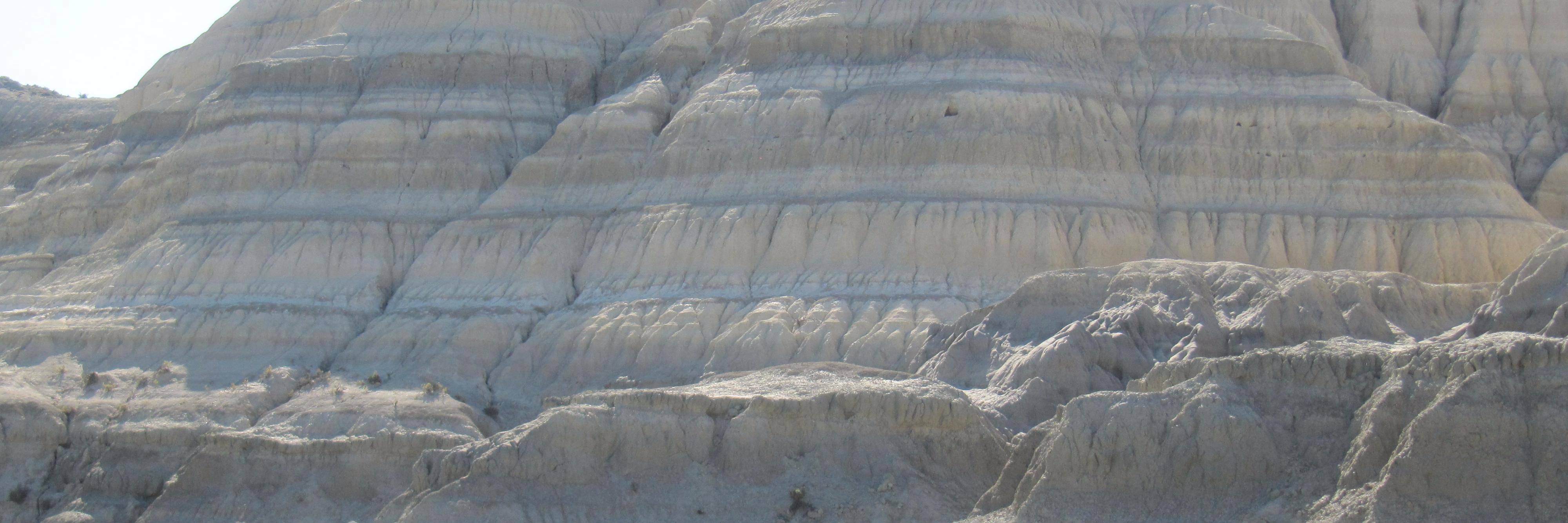 Stromberg Lab banner