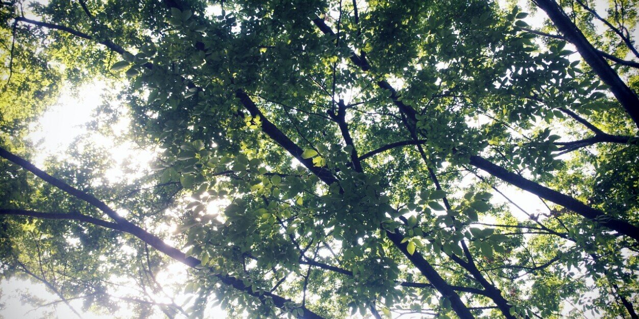 DaengGi326's profile banner image