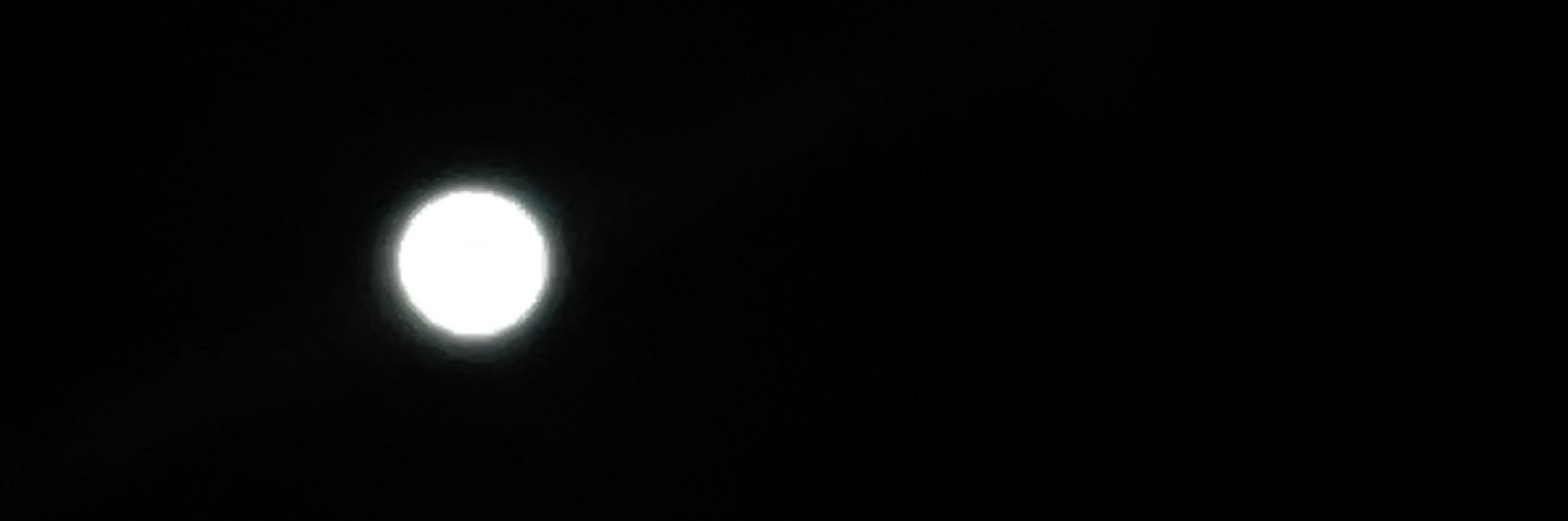 Whitney112392's profile banner image