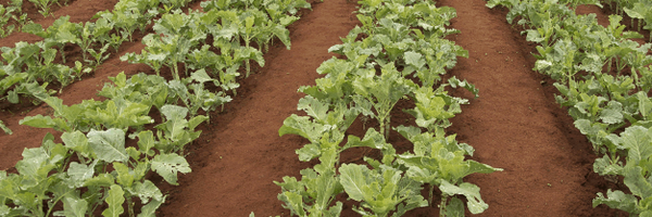 ABM_Mission Profile Banner