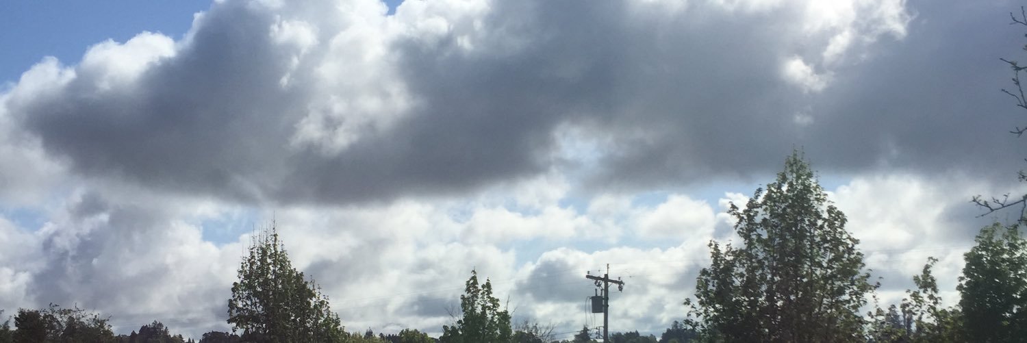 rnbwldys's profile banner image