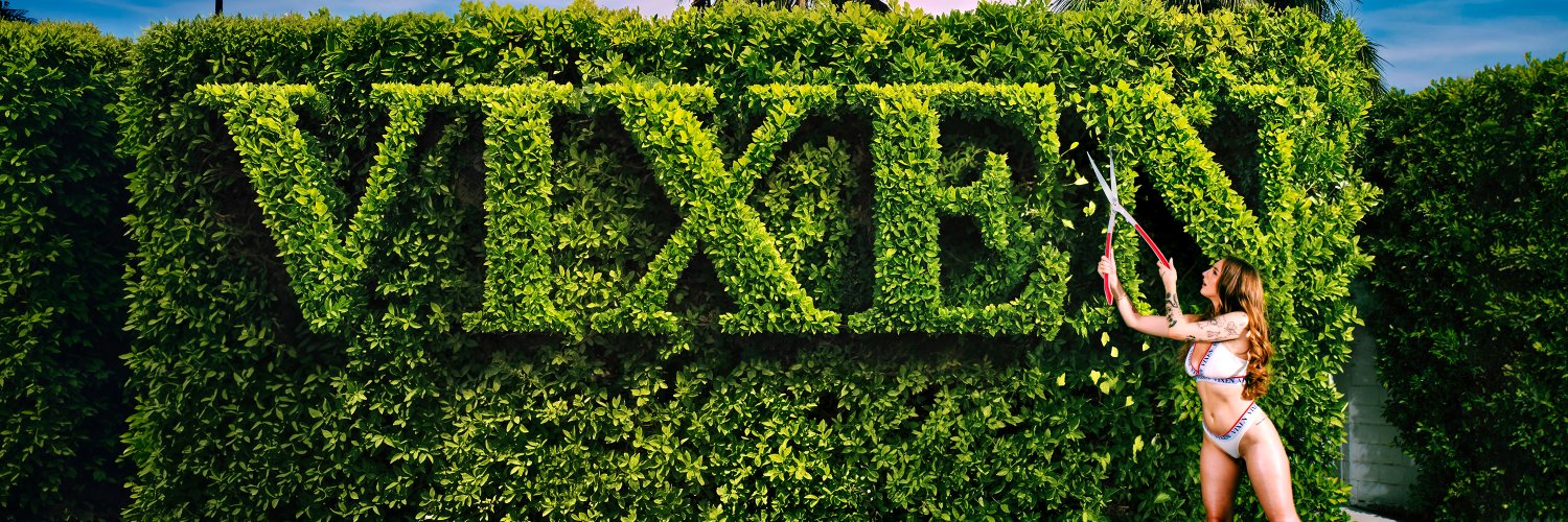 VIXEN banner