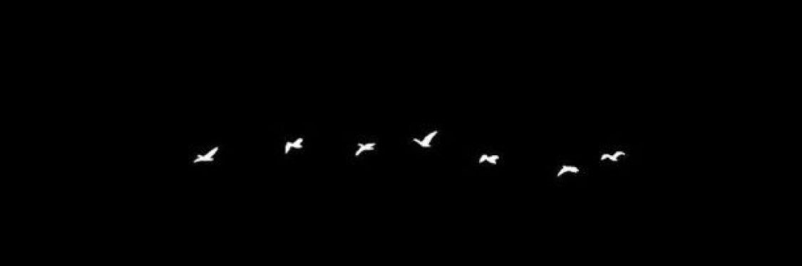 GhMS__'s profile banner image