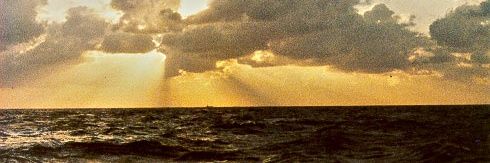 CamDog17 banner