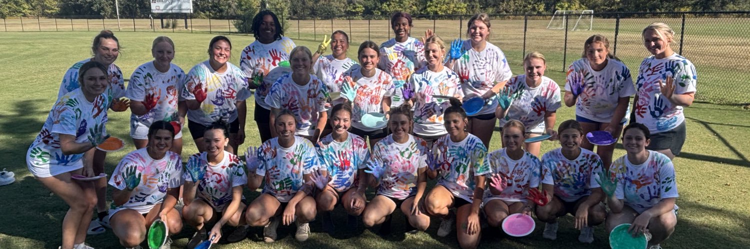 Lady Norse Softball banner