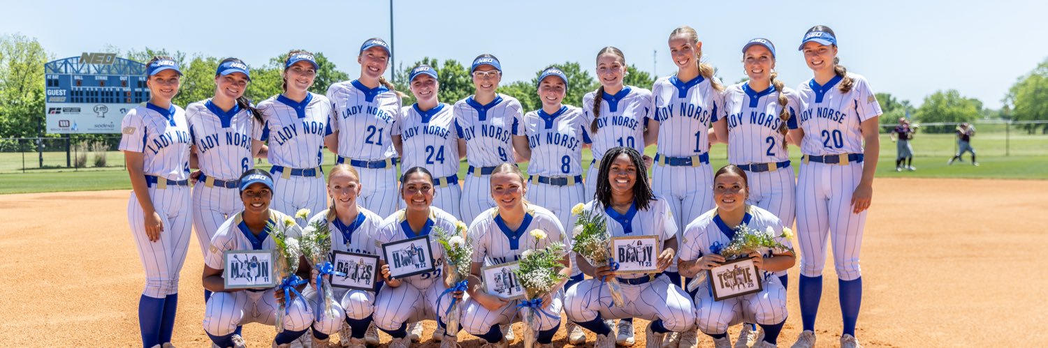 Lady Norse Softball banner