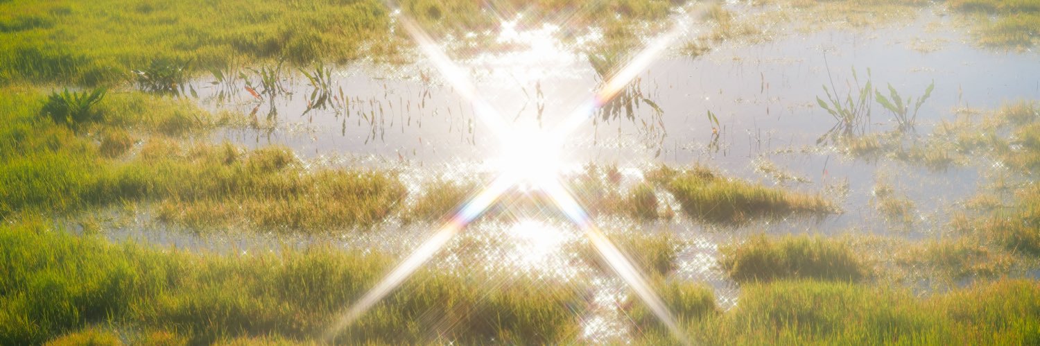 🤧 banner