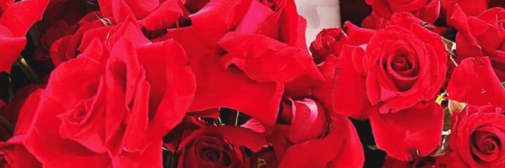 HYVBDs's profile banner image