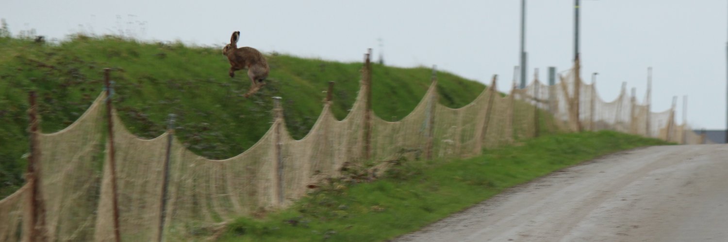 Guillaume SOUCHAY banner