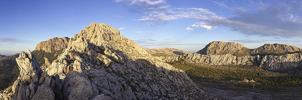 Agència de Defensa del Territori de Mallorca banner