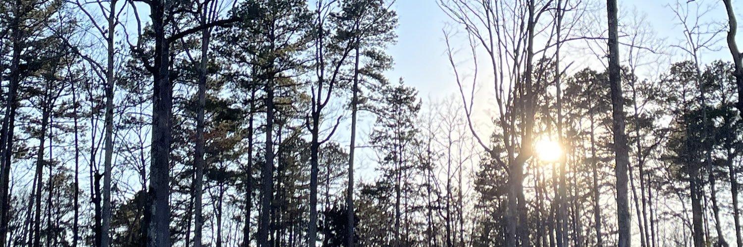 charismayy28's profile banner image