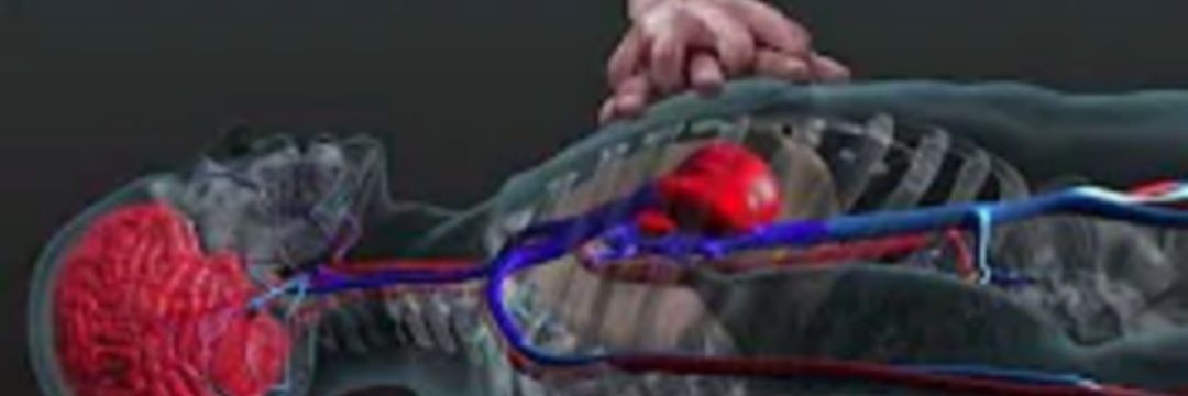 ToroRescate's profile banner image