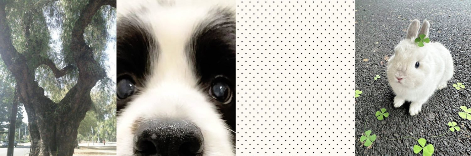 FeelinInkspired's profile banner image