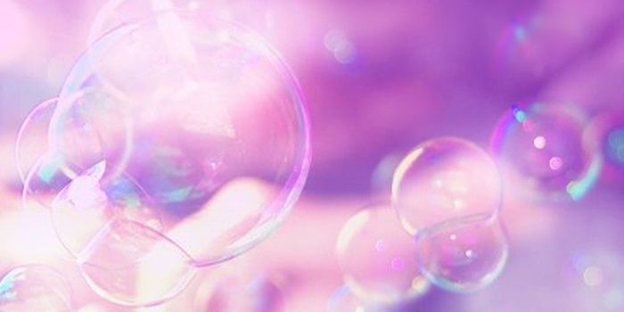 meLani_wang's profile banner image