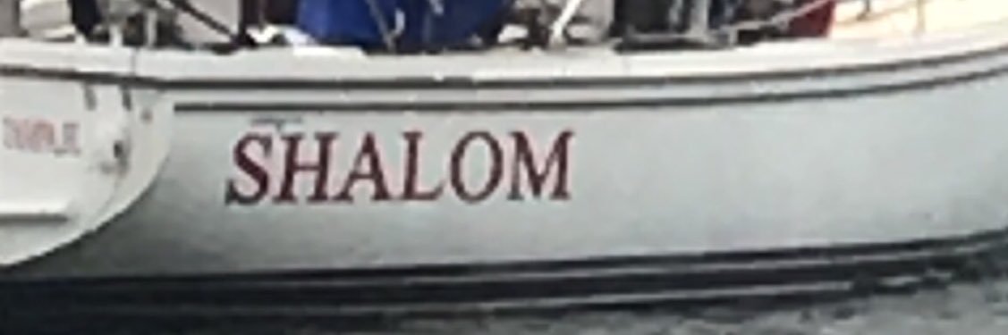dcj___'s profile banner image