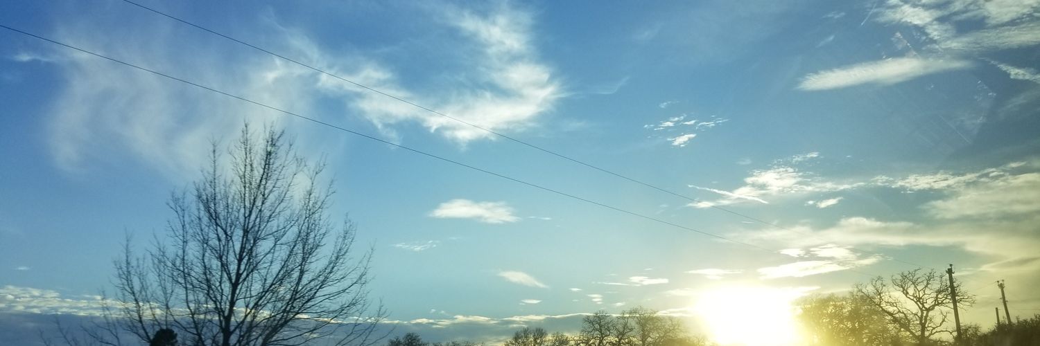 blue_flakes's profile banner image