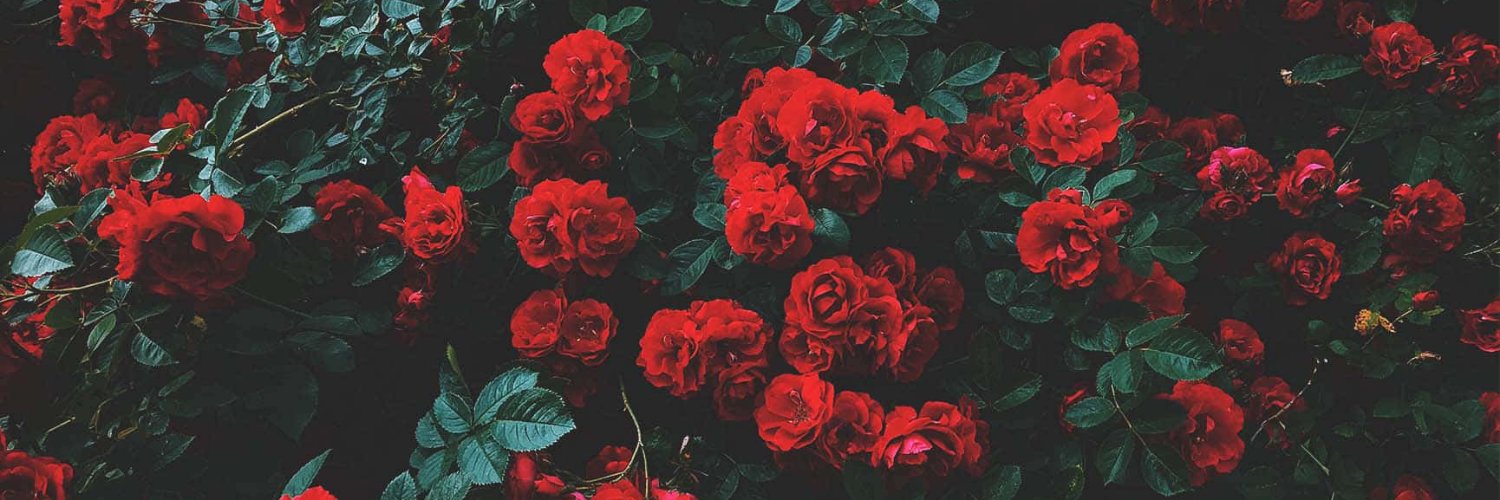 𝐋𝐨𝐬𝐭 𝐏𝐥𝐞𝐚𝐬𝐮𝐫𝐞 🥀 banner