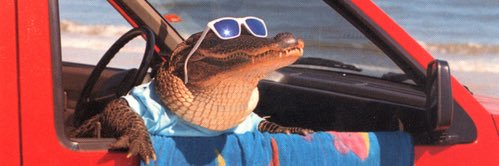 Mike_Wilson7's profile banner image