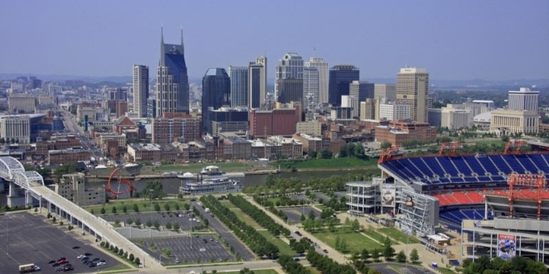 amanda surgener banner