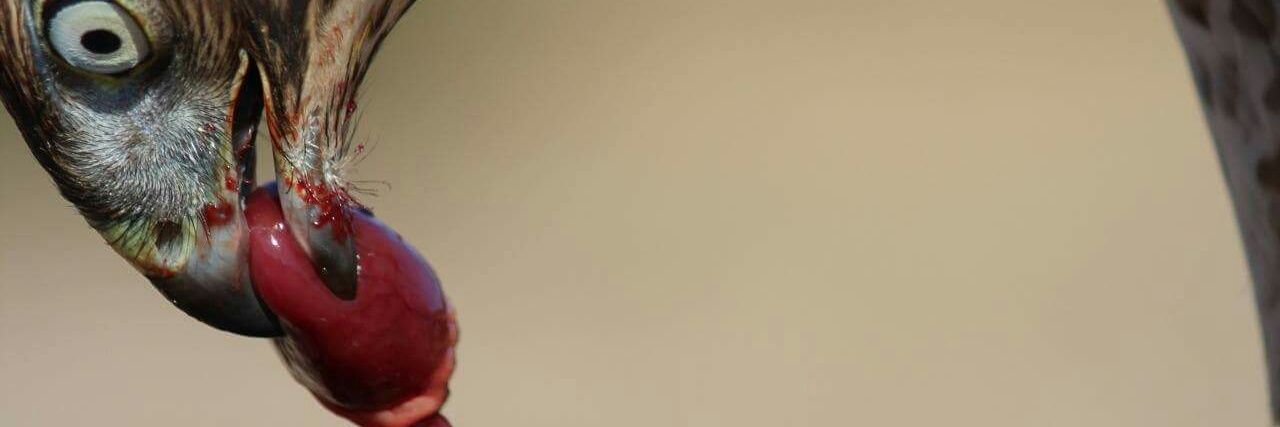 Sebastian Czarny banner