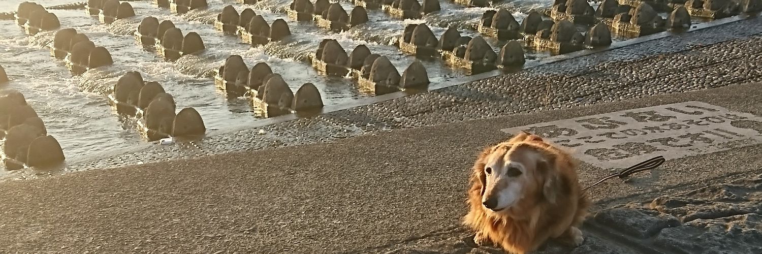 hebeleker's profile banner image
