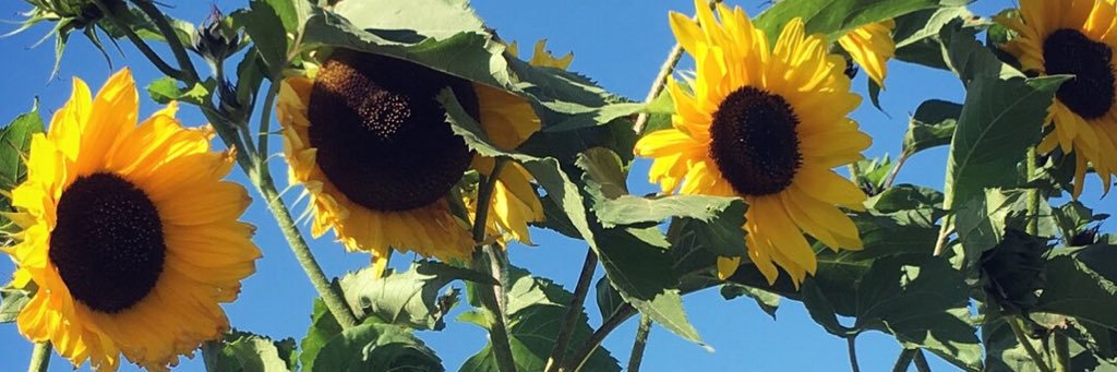 yugmin's profile banner image