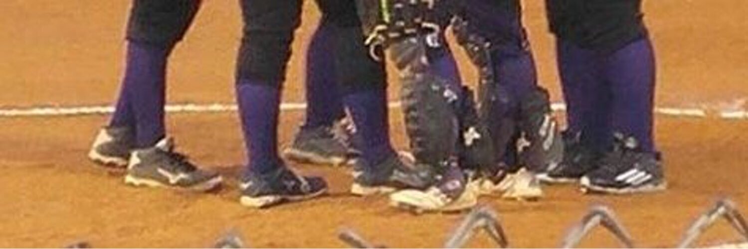 humblesoftball's profile banner image