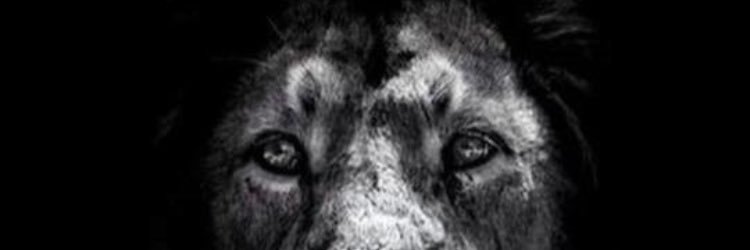 ccleveland3's profile banner image