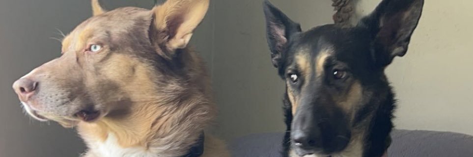 Gator_Bait7's profile banner image