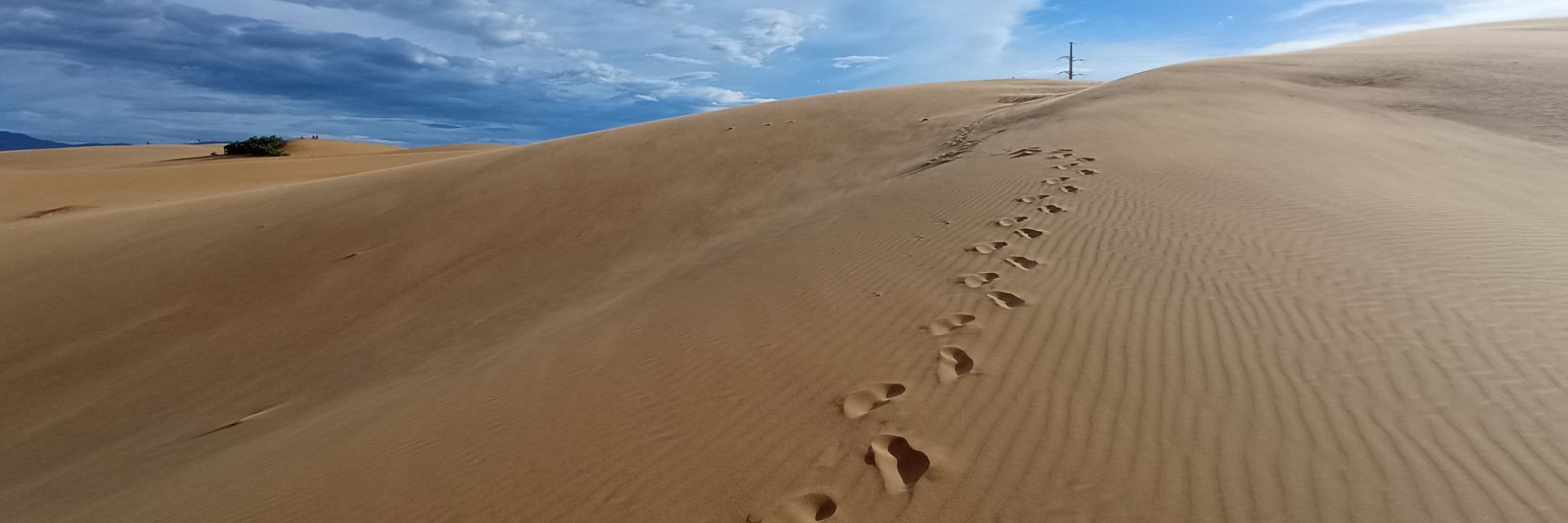 Ms. A. L. 🍺📷 banner