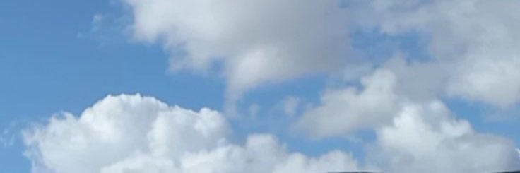 iptila_'s profile banner image