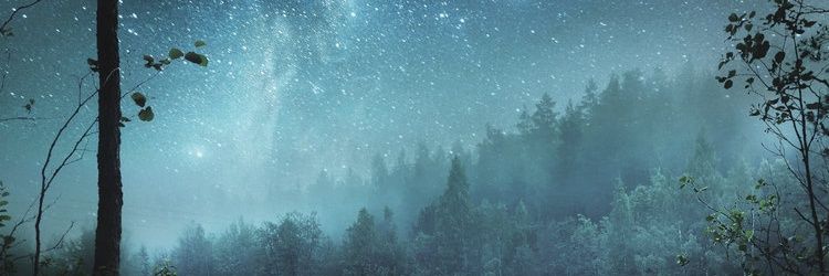 jessispread's profile banner image