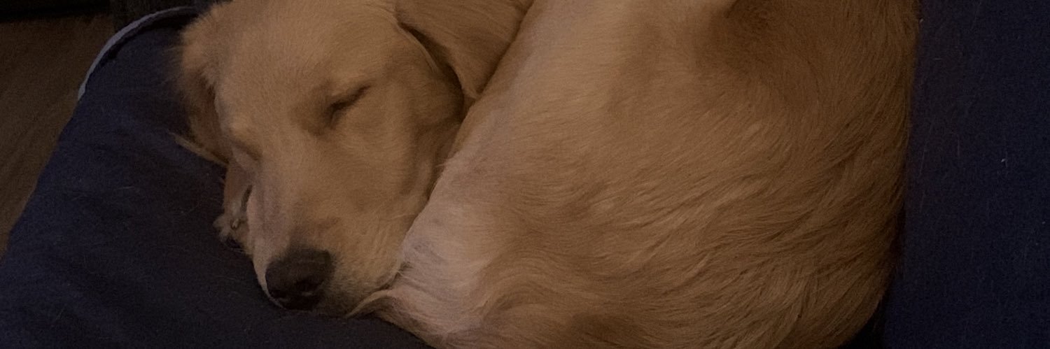 jdthumma's profile banner image