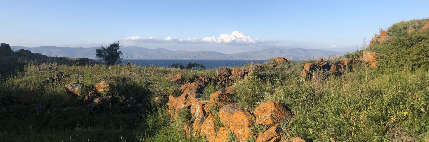 David Bequette banner